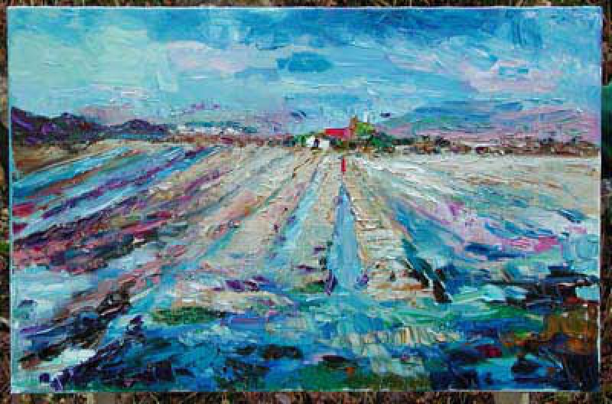 Rise fields